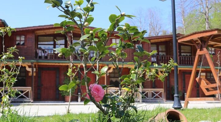 Teona Çağlayan Bungalov