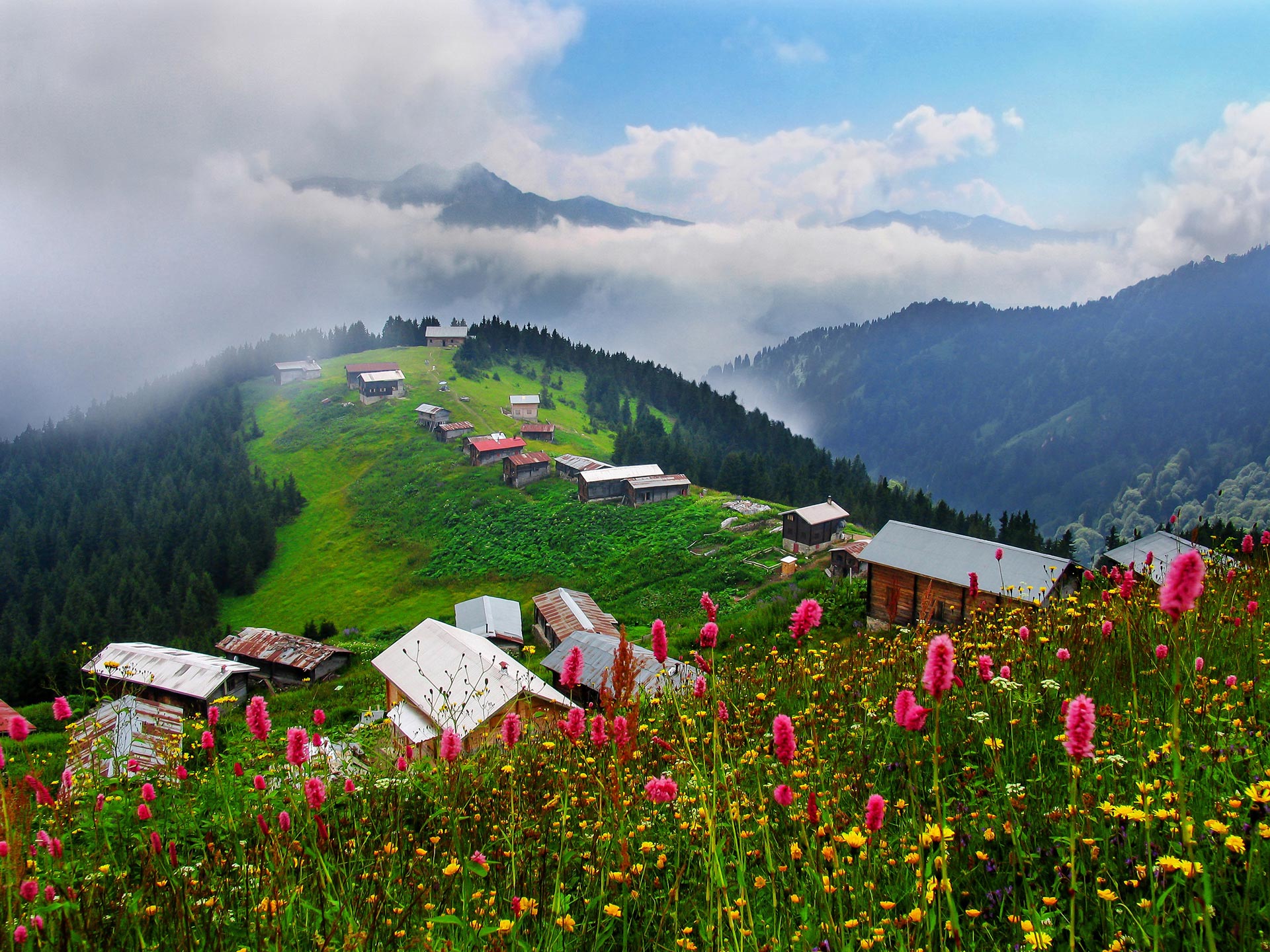 Ayder Yaylası Turu